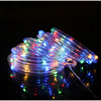 Solar Rope Light 10M 100L Waterproof Outdoor LED Copper Fairy String Tube Lights (Multi Color)