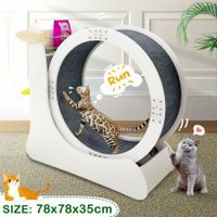 Cat Exercise Wheel Toy Running Treadmill Exerciser Scratcher Board Furniture Roller Sports Play Gym Equipment with Carpet Runway