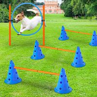 Dog Agility Hurdle Cone Set, Portable Canine Agility Training Set,30cm 6 Exercise Cones with  Pet Agility Rods