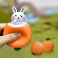 Easter Carrot Bunny Shape Fidget Toys Funny Squeeze Sensory Toys Decompression Boredom Stress Relief Toys for Kids Adults(3 Pcs)