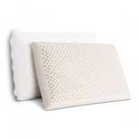 Set of 2 Latex Pillow with Removable and Washable Zippered Cover