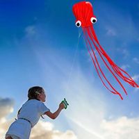 3D Octopus Kites, Long Tail Beautiful Easy Flyer Kites Beach Kites, Good Kites for Kids and Adults Easy to Fly