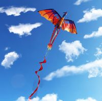 3D Dragon Kite Stereoscopic Dragon Kites for Kids  Adults Easy to Fly with Handle 100m line, Fun Toys for Lawn, Beach, Garden Family Gatherings