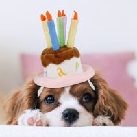 Pet Birthday Cake Hat with Candle for Dog Cat Party Costume, Size S