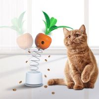 Cat Food Leakage Toy Funny Spiral Spring Carrot Toys