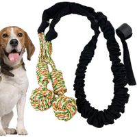 Dog Rope Toys, Interactive Outdoor Dog Toys For Large Dogs, Tree Or Door Hanging Installation