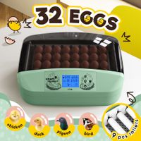 32 Eggs Incubator Automatic Chicken Hatching Quail Duck Hatcher Turner Transparent Temperature Control