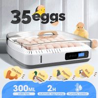 35 Eggs Incubator Automatic Hatcher Chicken Duck Quail Hatching Roller Humidity Temperature Control Transparent