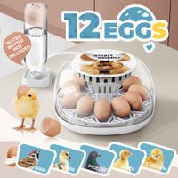 12 Eggs Incubator Automatic Hatching Chicken Quail Duck Hatcher Turner Transparent Humidity Temperature Control
