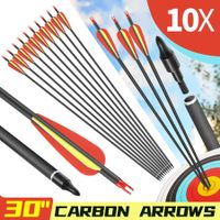 10x Carbon Arrows 30 Inch Archery Hunting Compound Recurve Long Bow Target Shooting Practice Spine 500 Kids Adults