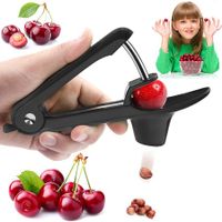 Cherry Pitter, Olive Pitter Tool, Cherry Pitter Tool Remover, Fruit Pit Core for Make Fresh Cherry Dishes and Cocktail Cherries