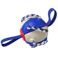 Rebound Frisbee Ball Interactive Training Ball Molar Ball Tug-of-war Toy Multifunctional Outdoor Football Dog Toy (Blue)