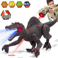 Sound Spray Robot Remote Control for Kids Remote Control Dinosaur Toys RC Robot Kids Gifts Boys and Girls