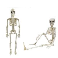 2 PCS Posable Halloween Skeletons 16 Inches Full Body Posable Joints Hanging Skeletons