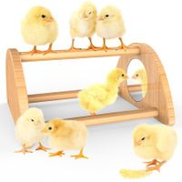 Mini Chick Perch with Mirror,Strong Bamboo Roosting Bar for coop and brooder,Training Perch for Baby Chicks,El Pollitos,La Pollita,Easy to Assemble and Clean,Fun Toys for Chick