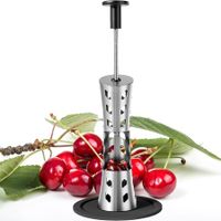 Cherry Pitter, Premium Cherry Pitter Remover Tool, 304 Stainless Steel Cherry Seed Remover