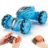 Remote Control High-Speed Stunt Car with 360° Flips and Drifts, Gesture Control, 2.4Ghz Rechargeable RC Toy Car for Kids (Blue)