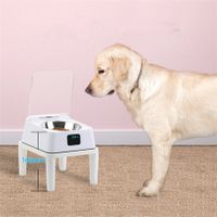 Automatic Smart Cat Feeder Bowl Sensitive Open Cover Pet Feeder  IR Induction for Pet with a 168mm Holder