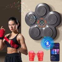 Music Boxing Machine with Boxing Gloves, Wall Mounted Smart Bluetooth Music Boxing Trainer