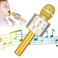 Wireless Bluetooth Kids Karaoke Microphone, 5 in 1 Portable Handheld Microphone with Adjustable Remix FM Radio for Boys Girls Birthday (Golden)