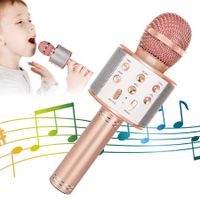 Wireless Bluetooth Kids Karaoke Microphone, 5 in 1 Portable Handheld Microphone with Adjustable Remix FM Radio for Boys Girls Birthday (Rose Gold)