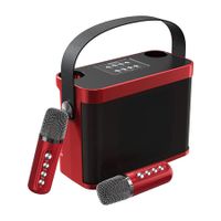 Karaoke Machine with 2 Wireless Microphones, Portable Bluetooth Karaoke PA Speaker System for Kids, with Carry Handle (Black Red)