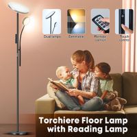 LED Floor Lamp Reading Lights 2 Heads Standing Minimalist Arc Adjustable Touch Remote Control for Bedroom