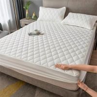 180*200CM Mattress Protector Cover (Without Pillowcase), watertight Fitted Sheet Pet Bed Cover Color white