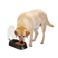 Automatic Pet Feeder Cat Dog Dry Food Dispenser with Timer Food Container Water Single Bowl