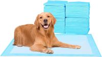 100 pack 33*45cm, Basics Dog and Puppy Pee Pads with Leak-Proof Quick-Dry Design for Potty Training, Standard Absorbency, Regular Size,Blue & White