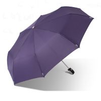 Windproof Travel Umbrella, Automatic Umbrellas for Rain, Compact Umbrella (Purple)