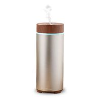 Portable USB Huimidifier Water Protection Air Purifiers and Essential Oil Diffuser with LED Light for Home&OfficeSilver