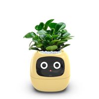 Smart Flowerpots,Smart Pet Planter,AI Planter,Intelligent Flowerpots,Multiple Expressions,7 Smart Sensors,and AI Chips Make Raising Plants Easy and Fun for Living Room,Plant-free (Yellow)