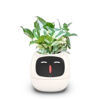 Smart Flowerpots,Smart Pet Planter,AI Planter,Intelligent Flowerpots,Multiple Expressions,7 Smart Sensors,and AI Chips Make Raising Plants Easy and Fun for Living Room,Plant-free (White)