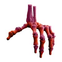 Red 3D Printed Skeleton Hand Realistic Movable Halloween Finger Bones for Party Decorations Gift