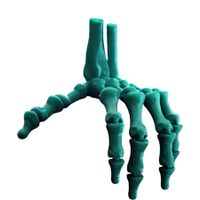 Blue 3D Printed Skeleton Hand Realistic Movable Halloween Finger Bones for Party Decorations Gift