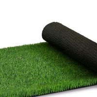 Artificial Grass Synthetic Turf Natural 1X10m