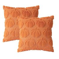 Pumpkin Fall Decorative Throw Pillow Covers,Set of 2 Rust Red Soft Faux Fur Pillow Covers,Fluffy Plush Accent Pillow Cases (Orange,45 x 45cm)