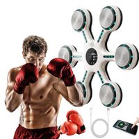 Smart Music Boxing Machine with Bluetooth,Home Wall-Mounted Training Gear,Boxing Training Punching Equipment with Gloves,Fitness and Reflex Improvement