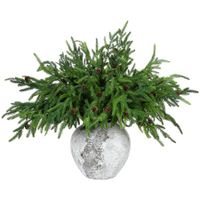 Xmas Norfolk Pine Branches with Pine Cones Norfolk Pine Artificial Xmas Branches for Xmas Indoor Outdoor Home Decor (16 Pcs)