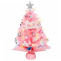 Mini Christmas Tree with LED Lights, 24 Inch Artificial Tree with 24 Ornaments,DIY Tabletop Xmas Tree for Home,Party Decor