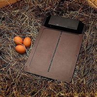 Smart Light-Activated Chicken Coop Door for Hassle-Free Poultry Management (No Timer Function)