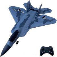 Ready-to-Fly F-22 RC Plane with 2.4GHz Remote Control Easy to Fly RC Glider