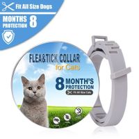 1-Pack 38CM Flea and Tick Collar with Effective and Long-Lasting Protection for Cats and Kittens