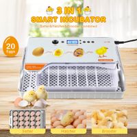 Fully Digital Automated 20 Egg Incubator with Hatching, Turning, and Candling Features for Chicken Quail Duck Poultry Bird