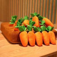 Dog Carrot Plush Training Toys for Chewing, Training, and IQ Development