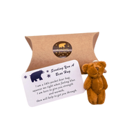 A Little Pocket Bear Hug  Envelop Sending You a Bear Hug, with Pocket Hug Token Card, Emotional Support Plush Positive Gifts   (Brown)