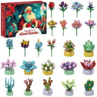 Advent Calendar  Building Block Flowers  24 Days of Christmas Countdown Building Blocks, 24 Kinds of Flowers, Unique Fun Advent Calendar Teen Boys Girls