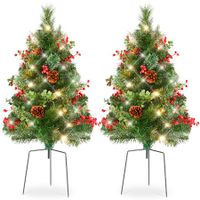 24.5In Outdoor Pathway Christmas Trees,Battery Operated Pre-Lit Holiday Decor w/LED Lights,Red Berries,Pine Cones,Set of 2