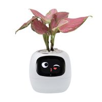 Smart Pet Planter Robot Guidance on Plant Care with Emoji,Adorable Plant Companion with Rich Gesture Interaction,Neat Desk Setup Gift (White)